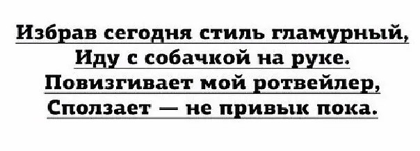 Юмор в картинках и без 20.09.2022