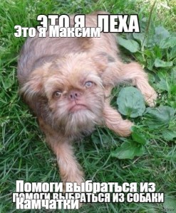 Я слишком стар для этого дерьма