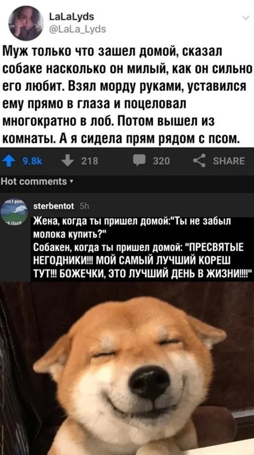 Скриншоты и комментарии из социальных сетей 24.09.22