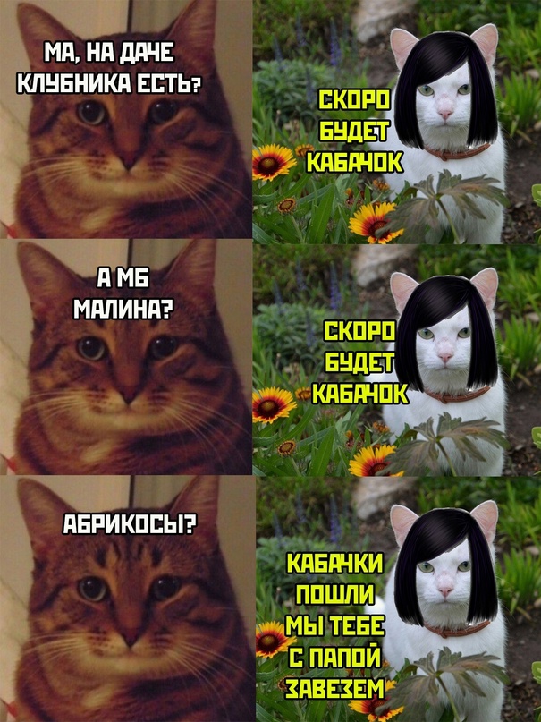 Весёлый полтишок 08.07.23