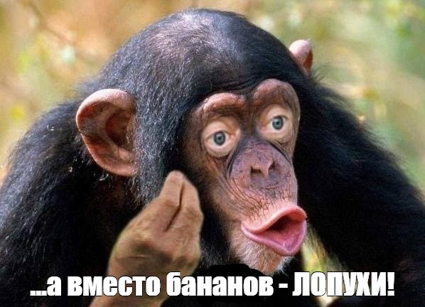 Школа джедаев. Начало
