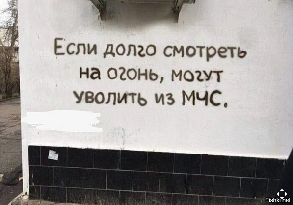 18496895.jpg
