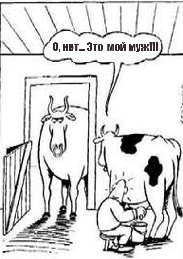 Так себе картинки 03.12.23