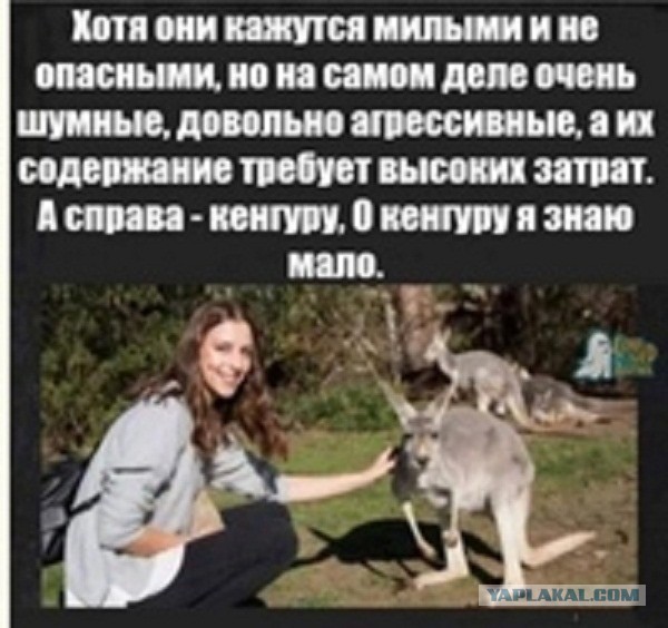 Заметки натуралиста