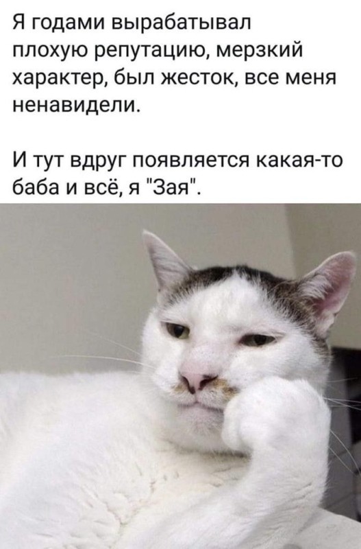 Мемчики и картинки для настроения и подумать