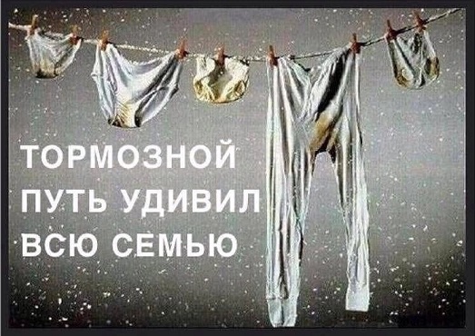 Показывайте кота!