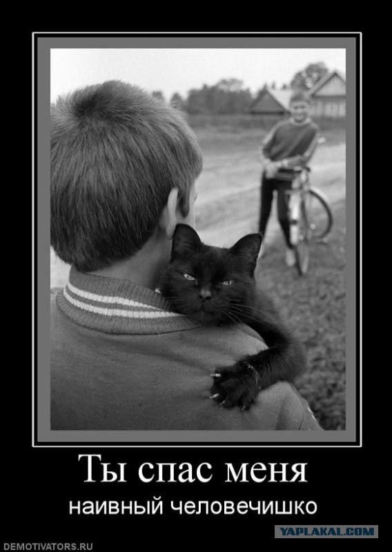 Спасая самое ценное
