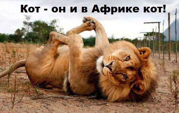 Так себе картинки 17.09.24