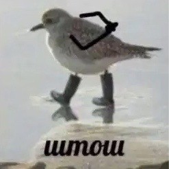 Опять стал рабом
