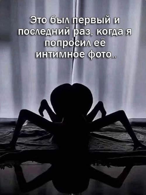 Маленькая пятница 12.03.25
