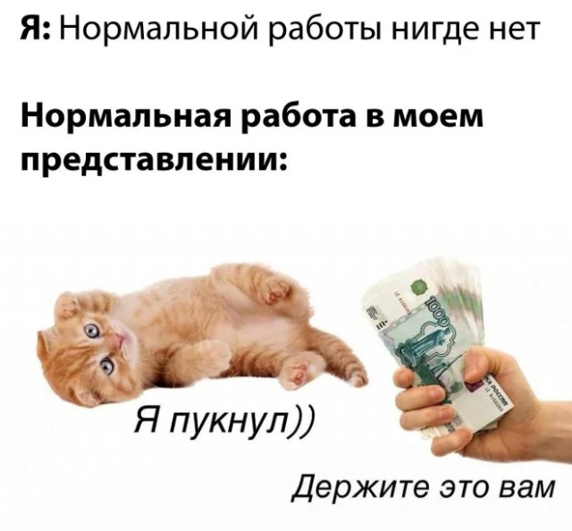 Картинки из ТГ чатов