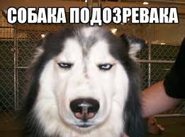 «Армия России» закрывает все свои 35 магазинов