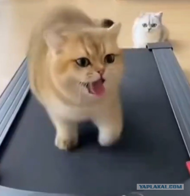 А мне за что!?