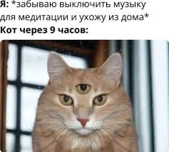 Маленькая пятница 22.10