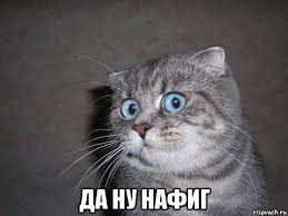 Наркоман, выпавший из окна диспансера при побеге, пытается засудить врачей