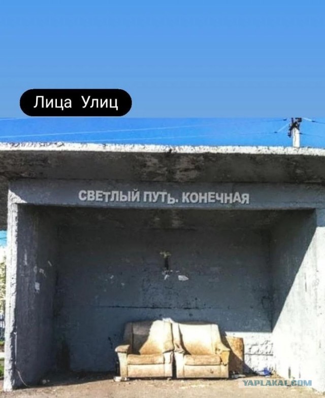 Веселые картинки в понедельник (24.11)