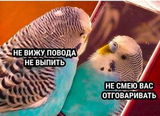 Рыбалка 18.01.26. Доклад. Фотоотчет.