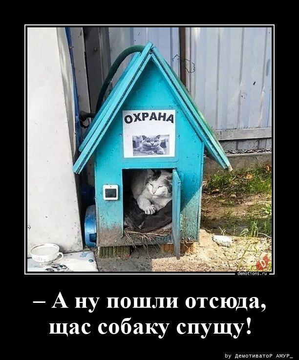Картинки для деградации 128 (разной степени свежести)