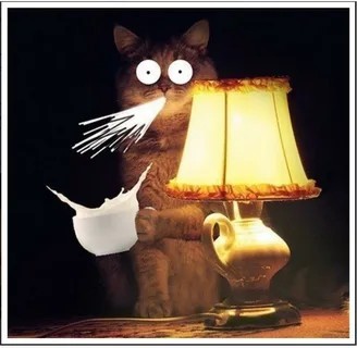 Про сырники