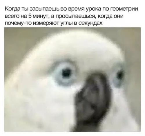 Картиночки, баянчики 10 марта