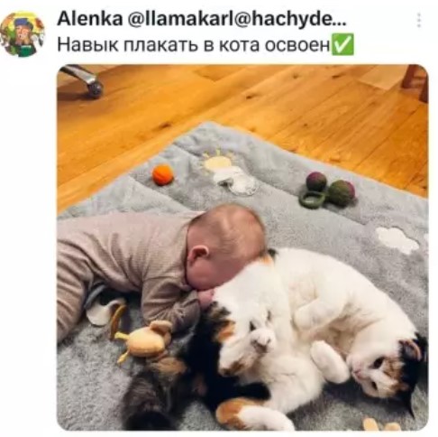 Котямбосы