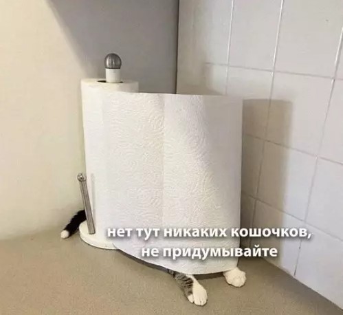 Картинки для деградации 169 (разной степени свежести)