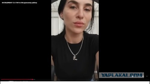Собачатникам разрешили проверять водительское и другие документы?