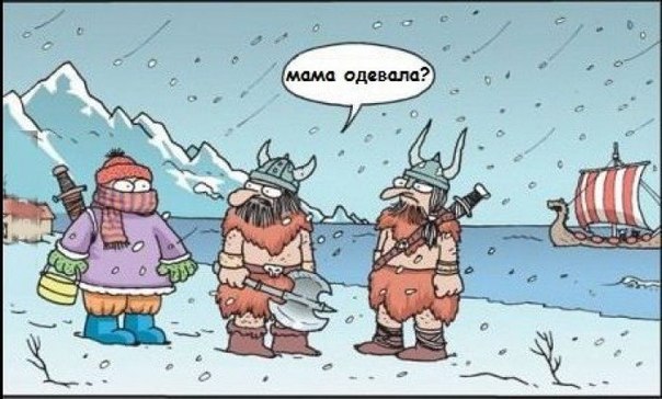 Подстригли кота