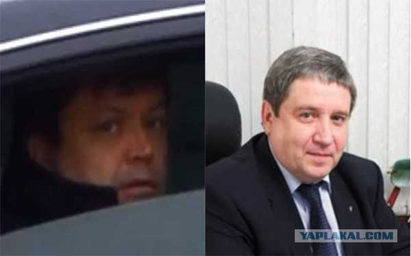 Помогите опознать наглую морду!