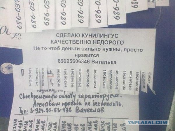 Народное творчество 2013