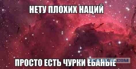 Узбеки избили сибирячку и её дочь-второклассницу