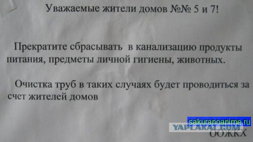 Заделал — и в кусты