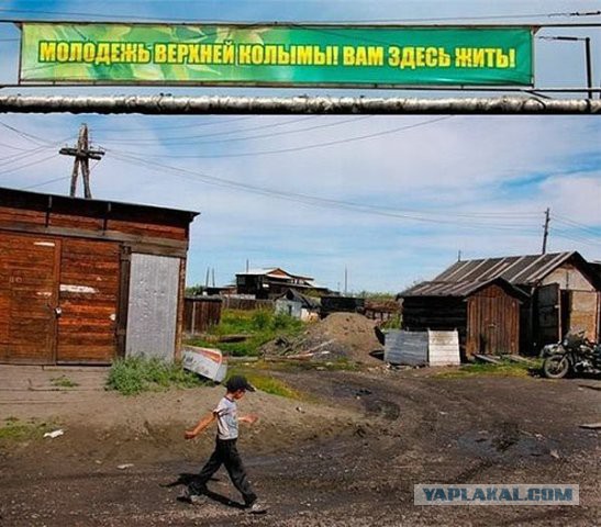 Картинки, объявления - 2
