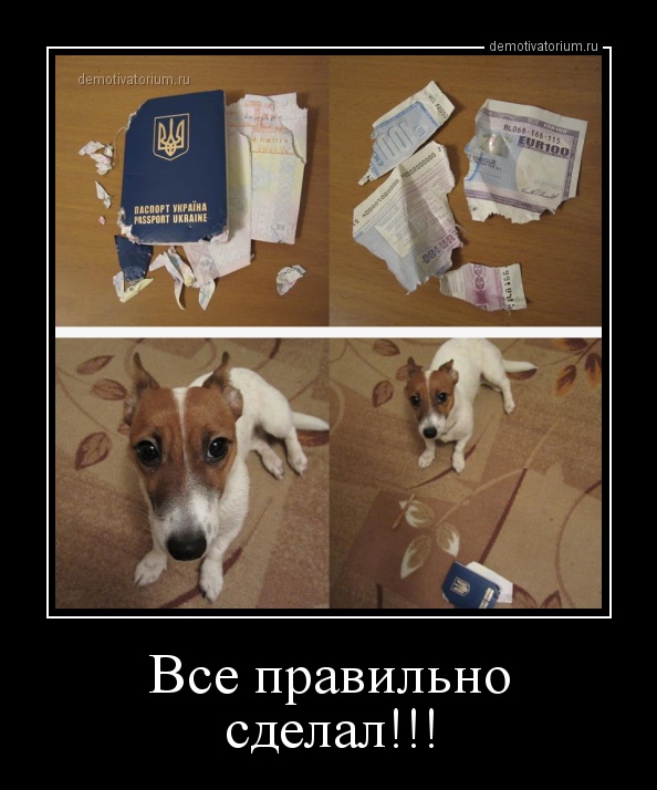 Украинские приколы.