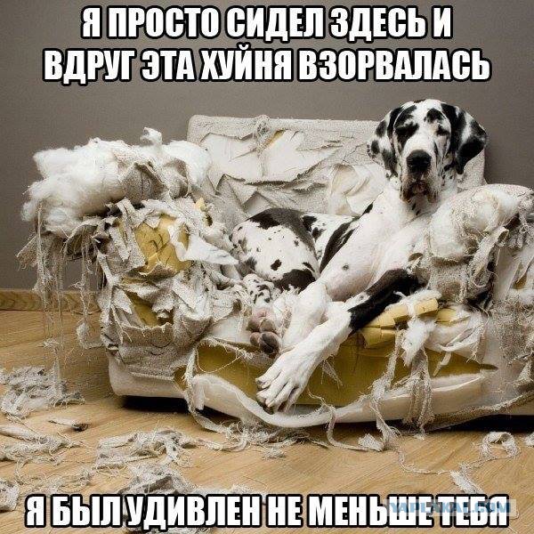 Фотки из интернета.