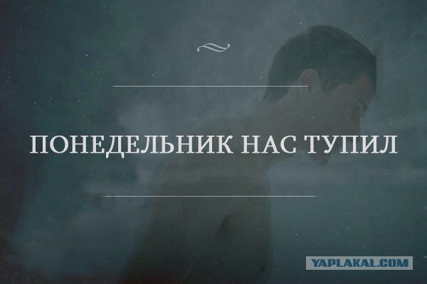 Когда вы плюсуeтe тему в платине