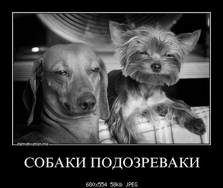 С Англией чтоли воевать?