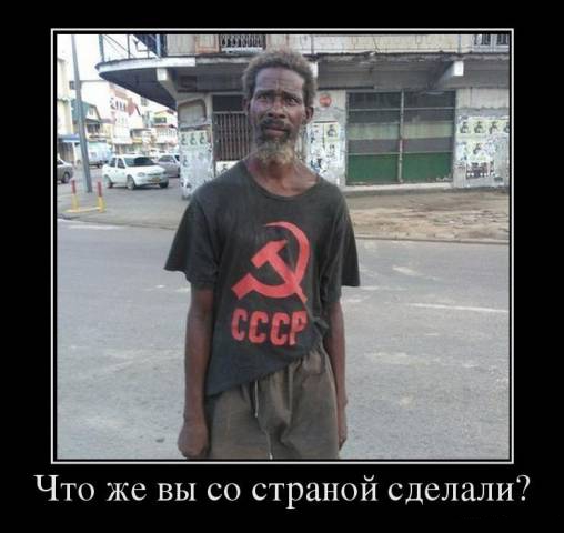 Если бы нигеры жили у нас