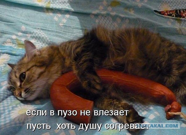 Поднимаем настроение