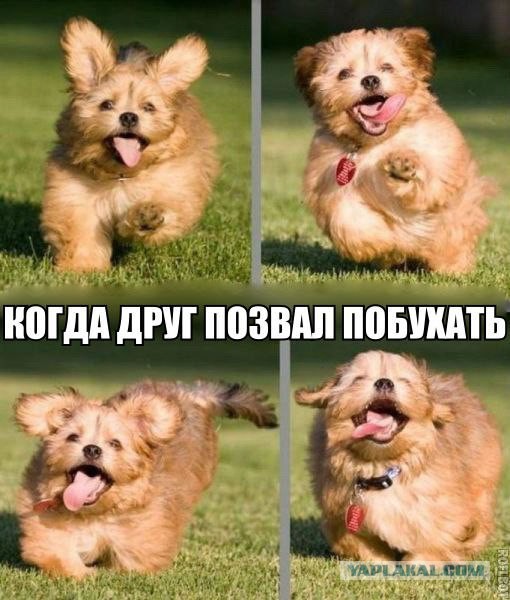 Подборка смешных картинок :)