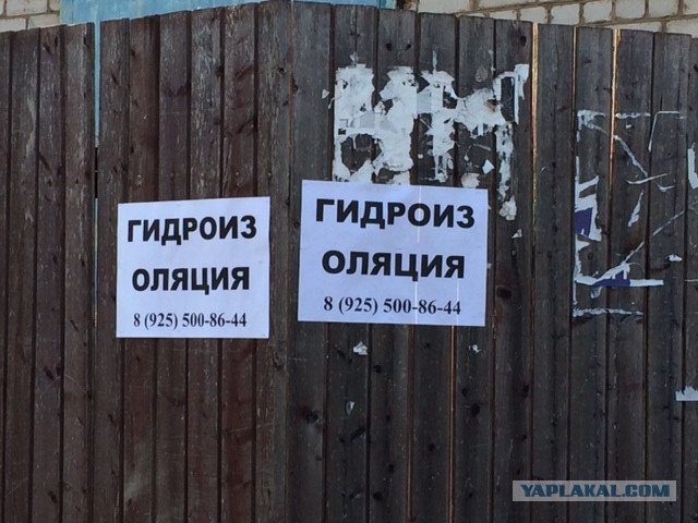 Последнее фото с Вашего телефона.