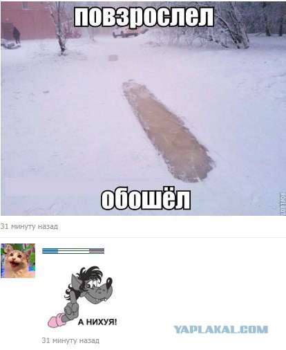 Веселые картинки
