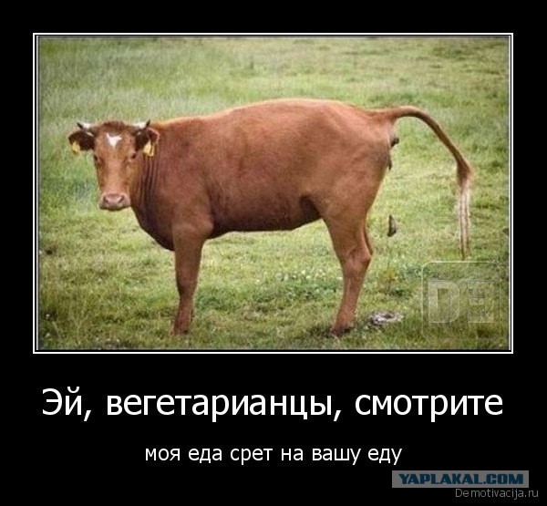 Маразмы веганов