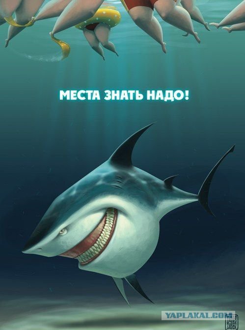 Веселые картинки