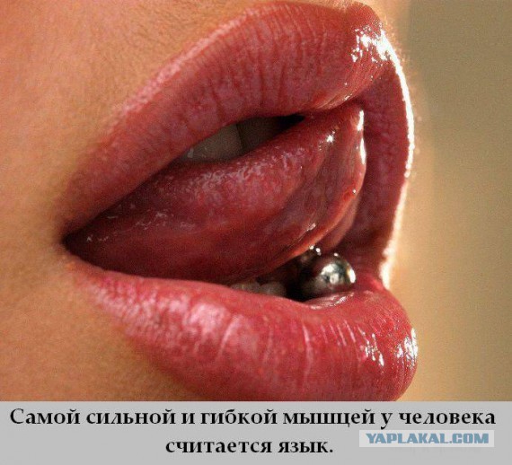 Клуп калхозных пейссателей