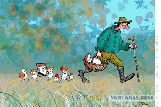 Любимая ГРИБОСРЕДА – опять нас радует всегда!