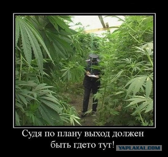 План на неделю