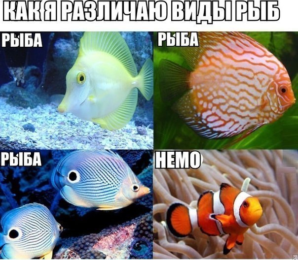 Картинки с буквами -11