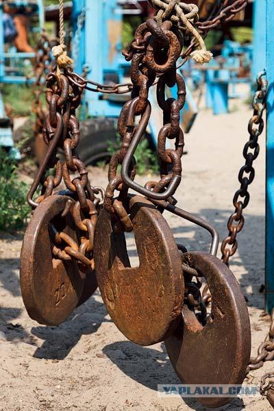 Качки из киева завоевывают Германию