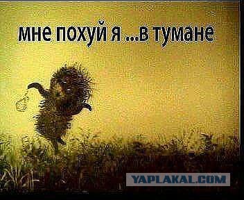 Нострадамус: новые толкования